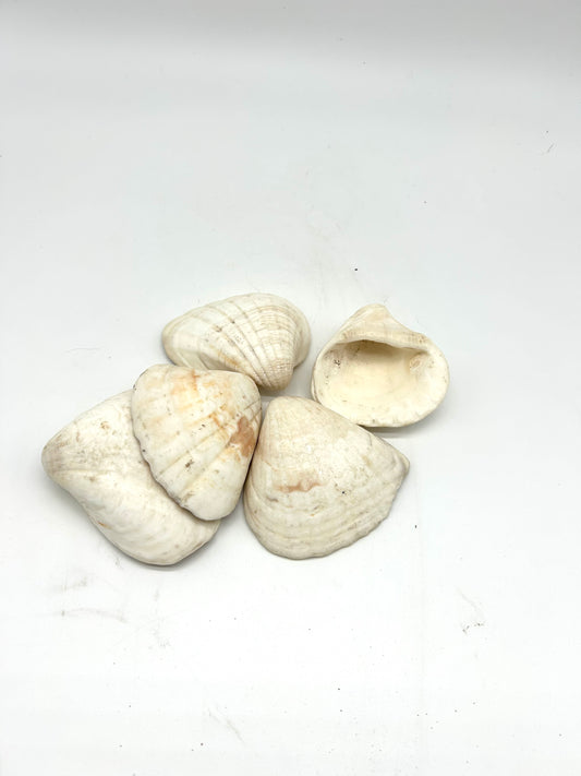 Aje Olokun