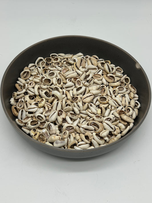 Owo Ero- Open Cowries