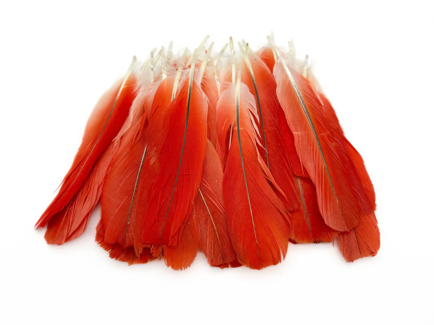 Ikode (African Red tail Parrot Feather)