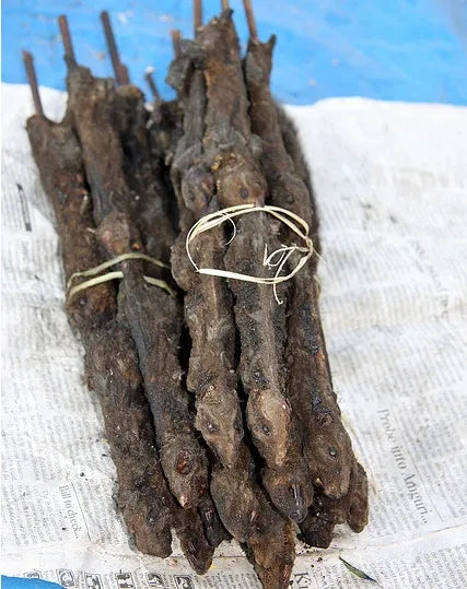 Eku (Ifa Dried Rat)